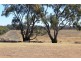 11 Felton Drive, Murray Downs NSW 3585