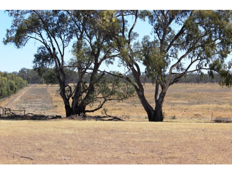 11 Felton Drive, Murray Downs NSW 3585