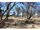 11 Felton Drive, Murray Downs NSW 3585