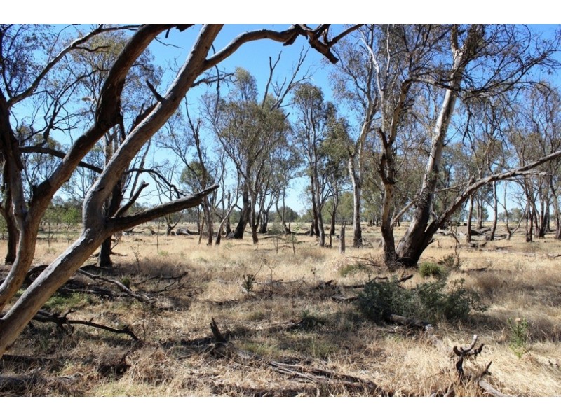 11 Felton Drive, Murray Downs NSW 3585