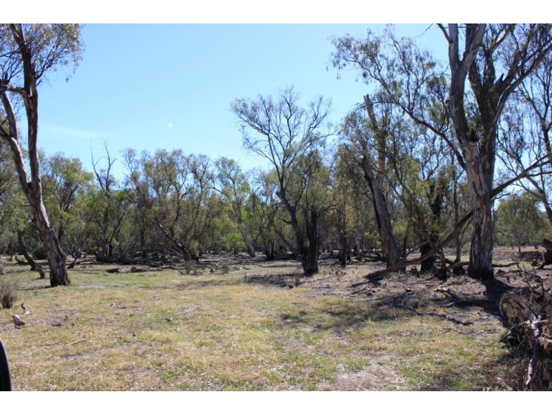 11 Felton Drive, Murray Downs NSW 3585