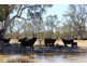 11 Felton Drive, Murray Downs NSW 3585