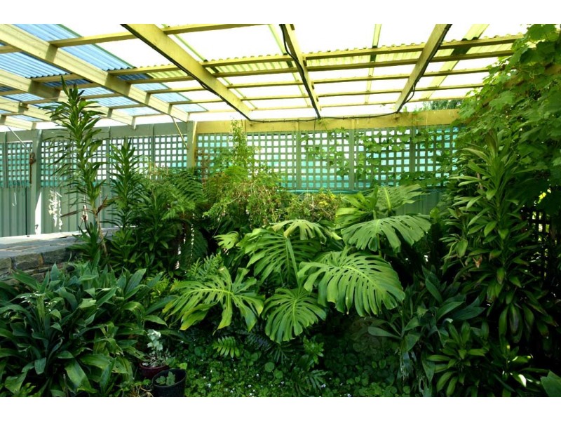 41 Mansfield Road, Euroa VIC 3666