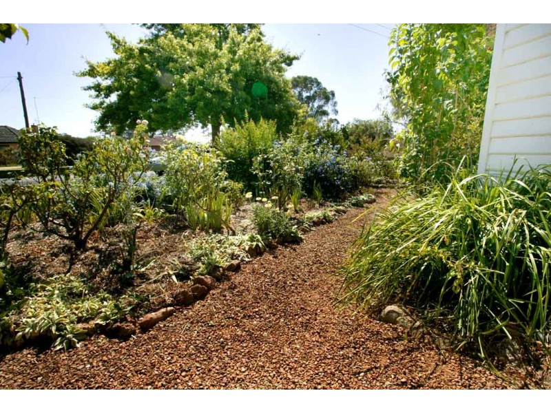 41 Mansfield Road, Euroa VIC 3666