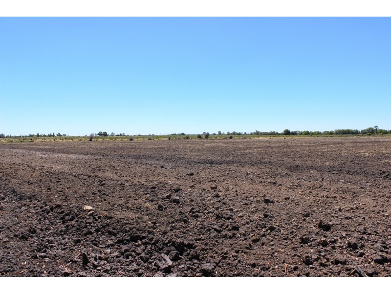 277 Tyntynder road, Tyntynder VIC 3586