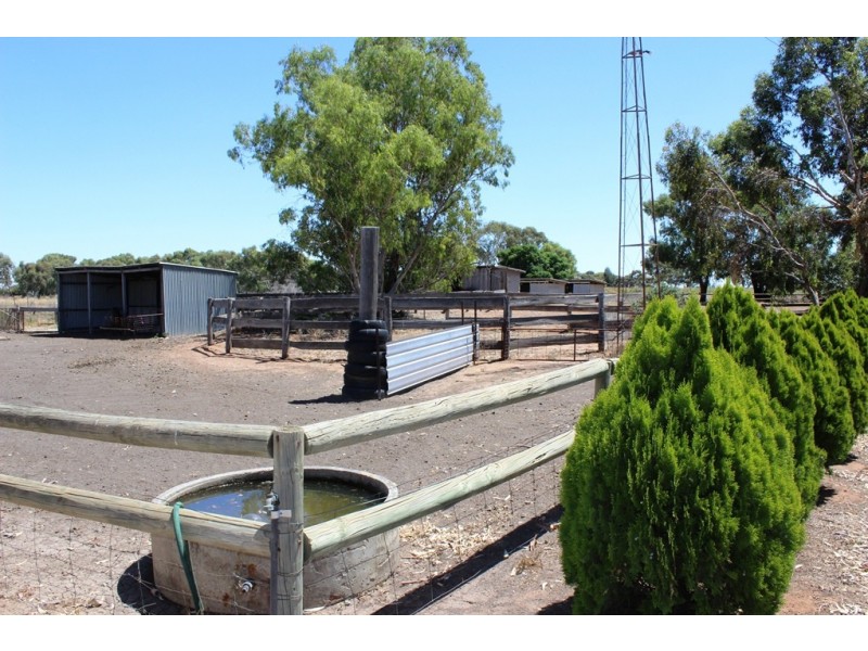 277 Tyntynder road, Tyntynder VIC 3586