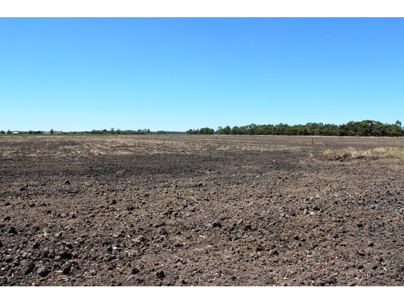 277 Tyntynder road, Tyntynder VIC 3586