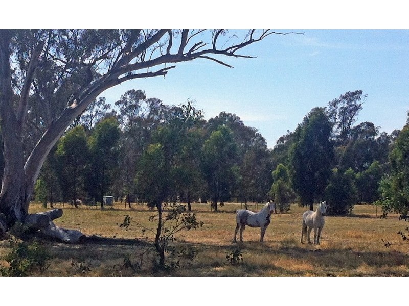 5 Faithfull Street, Longwood VIC 3665