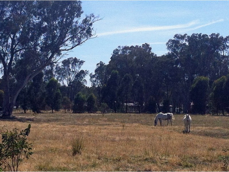 5 Faithfull Street, Longwood VIC 3665