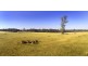 397 Bonnie Doon Rd, Boho Sth, Violet Town VIC 3669