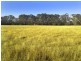 397 Bonnie Doon Rd, Boho Sth, Violet Town VIC 3669