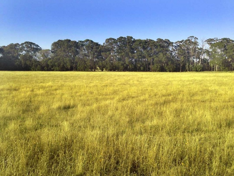 397 Bonnie Doon Rd, Boho Sth, Violet Town VIC 3669