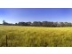 397 Bonnie Doon Rd, Boho Sth, Violet Town VIC 3669