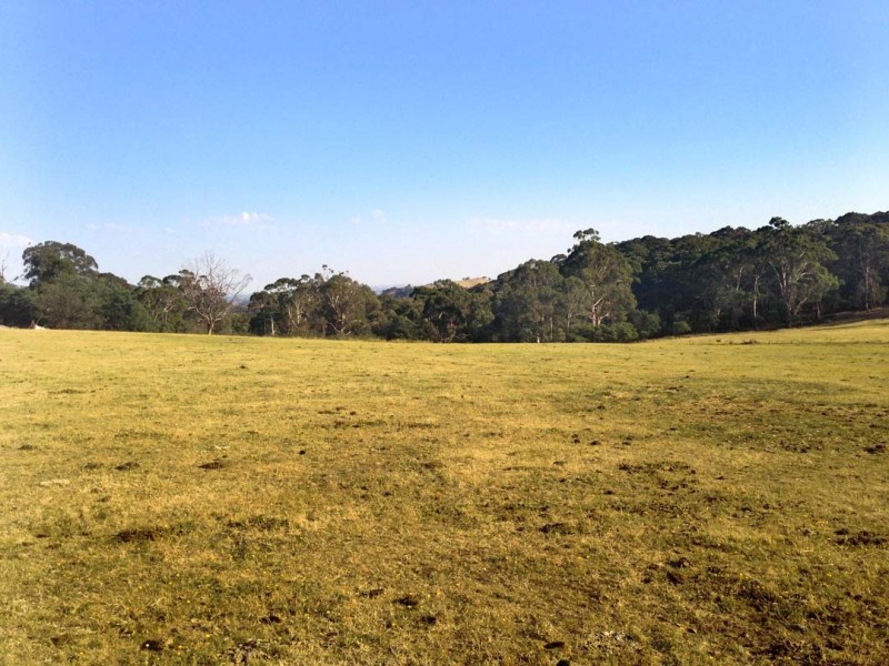 397 Bonnie Doon Rd, Boho Sth, Violet Town VIC 3669