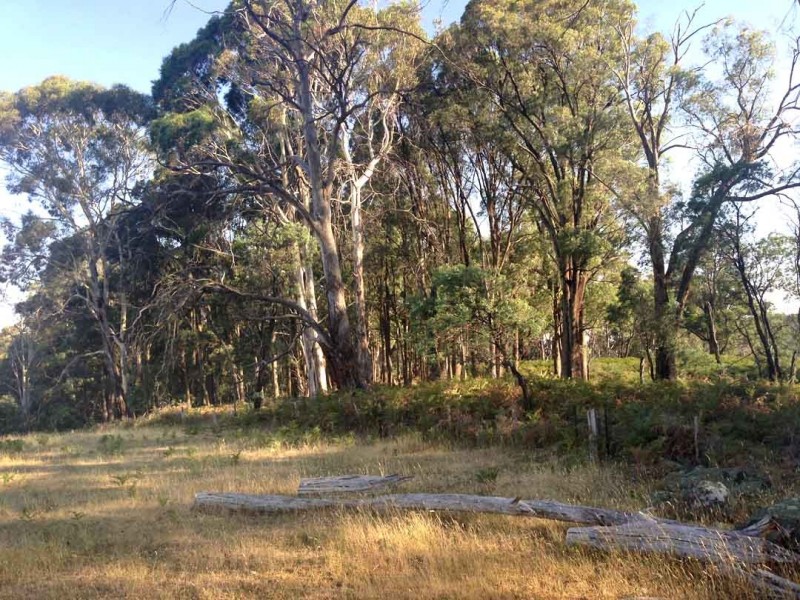 397 Bonnie Doon Rd, Boho Sth, Violet Town VIC 3669