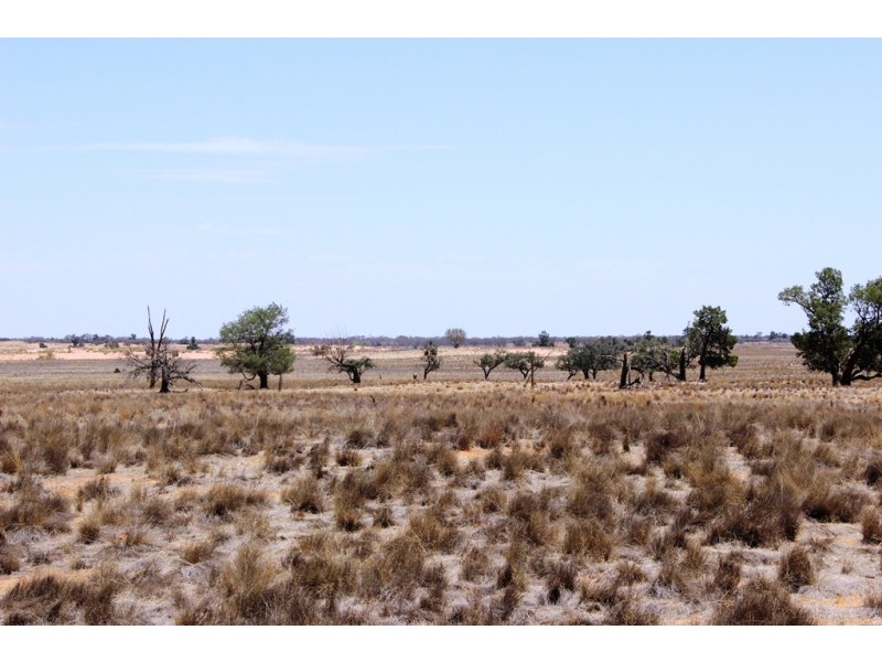Menindee NSW 2879