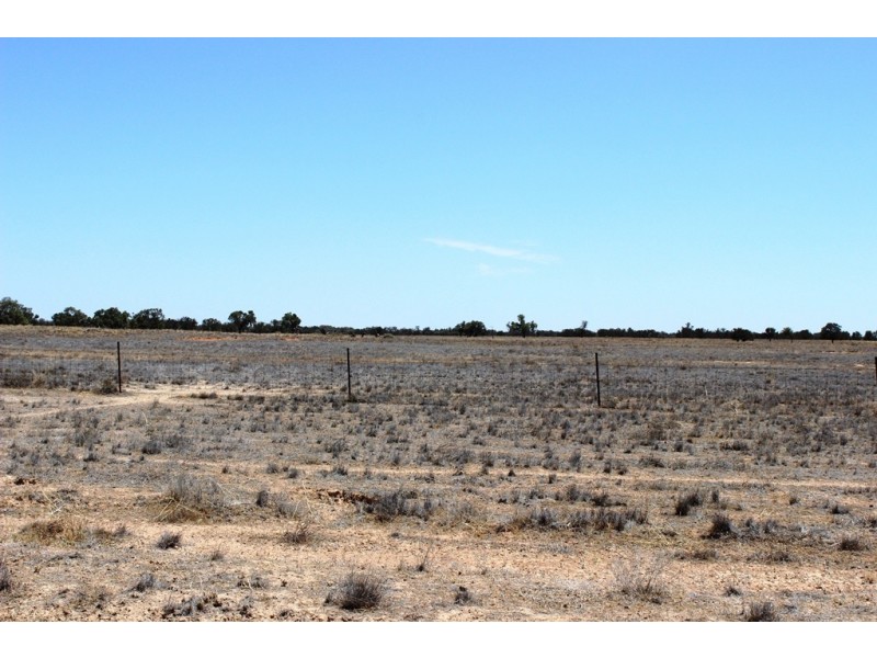 Menindee NSW 2879