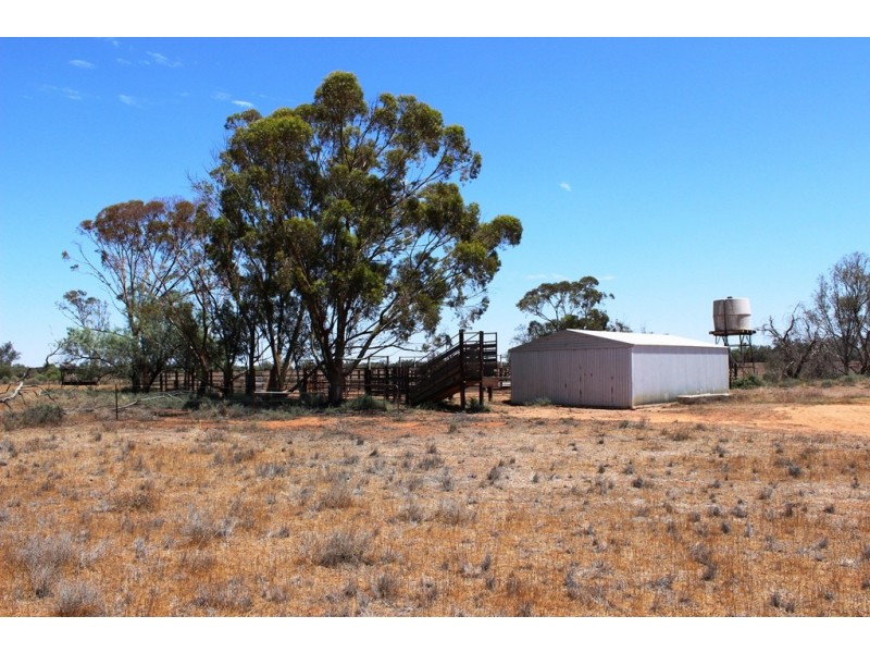 Menindee NSW 2879 Rodwells Withdrawn