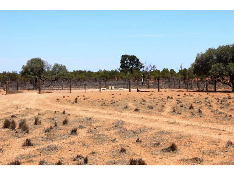 Menindee NSW 2879