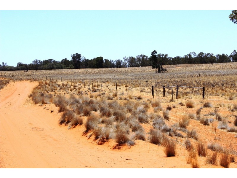 Menindee NSW 2879