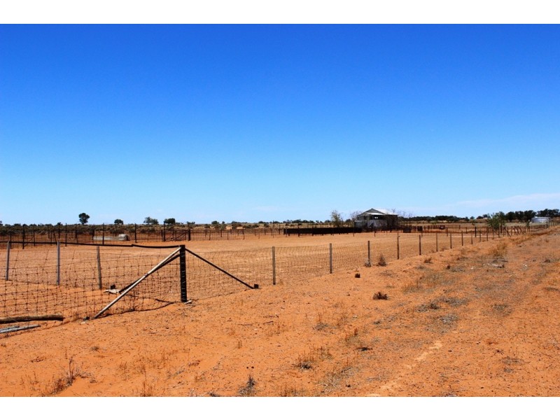 Menindee NSW 2879