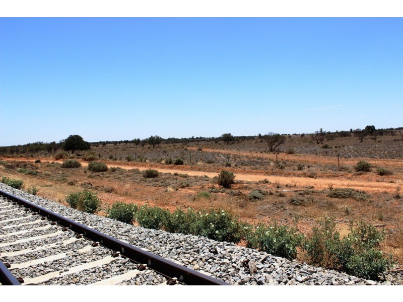 Menindee NSW 2879