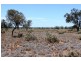 Menindee NSW 2879