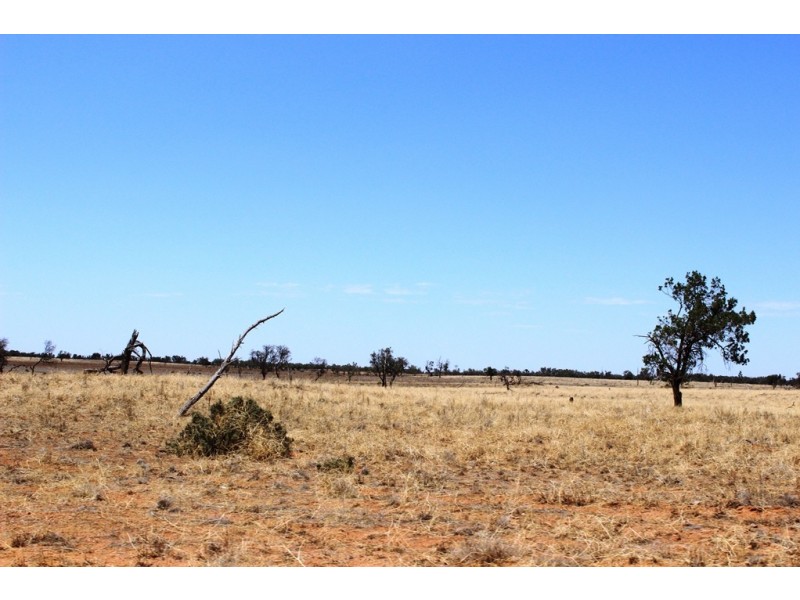 Menindee NSW 2879