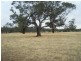 Mathoura NSW 2710