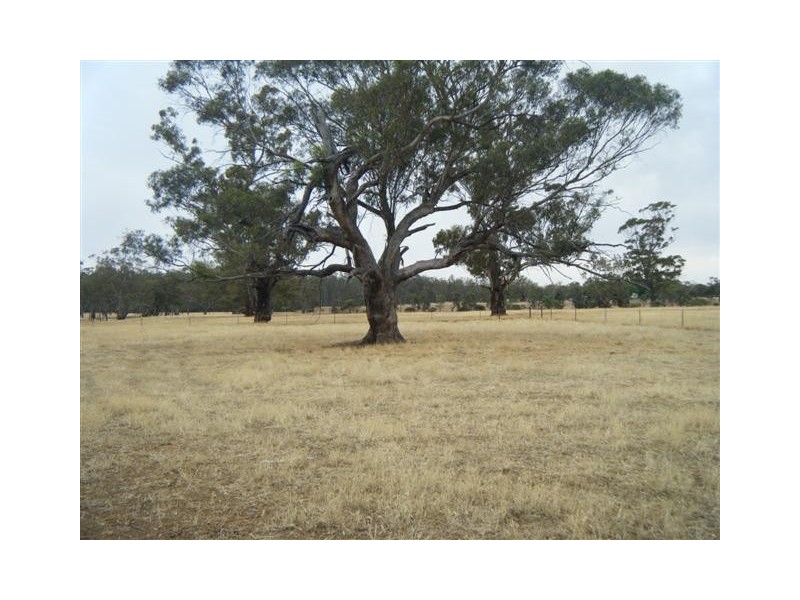 Mathoura NSW 2710