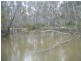 Mathoura NSW 2710