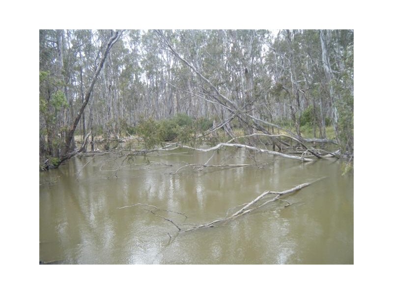 Mathoura NSW 2710