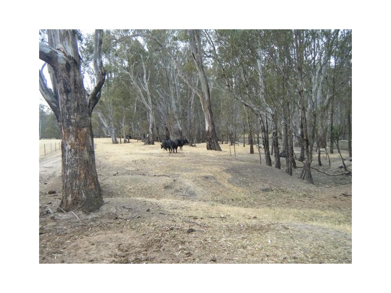 Mathoura NSW 2710