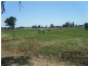 Echuca VIC 3564