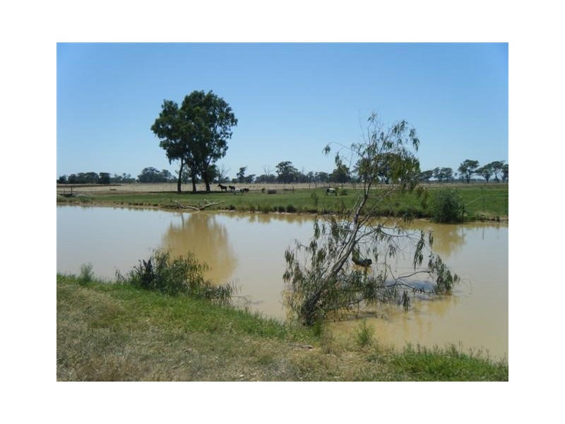 Echuca VIC 3564