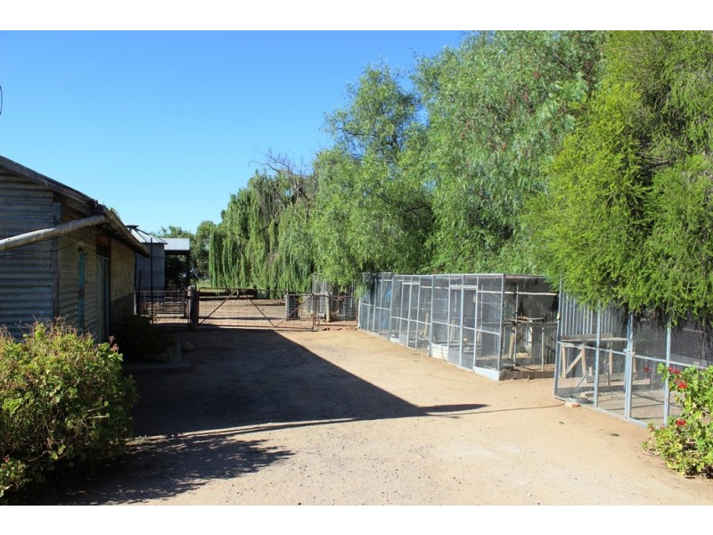 238 Tyntynder Central Road, Swan Hill VIC 3585