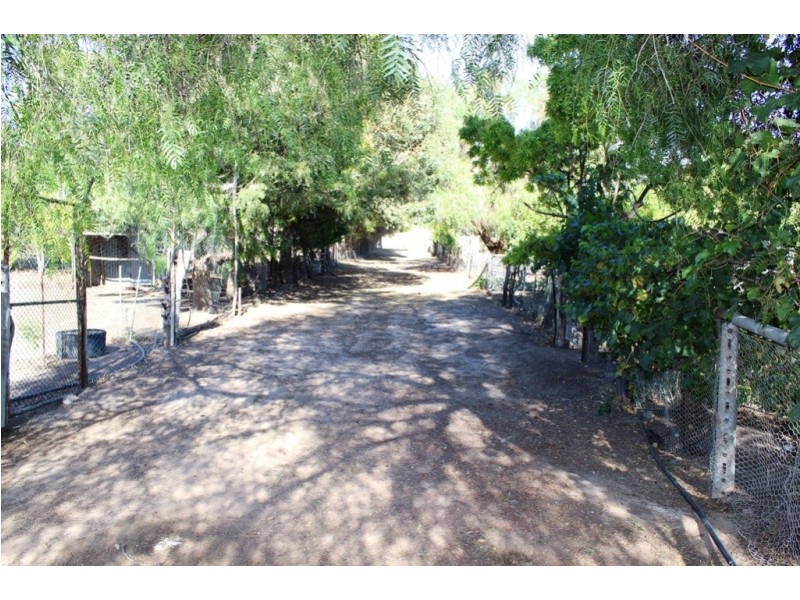 238 Tyntynder Central Road, Swan Hill VIC 3585