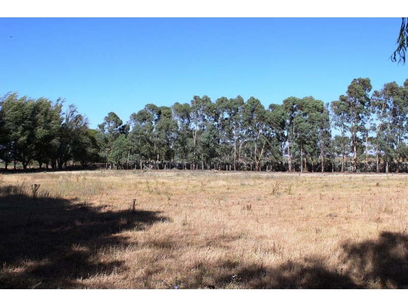 238 Tyntynder Central Road, Swan Hill VIC 3585