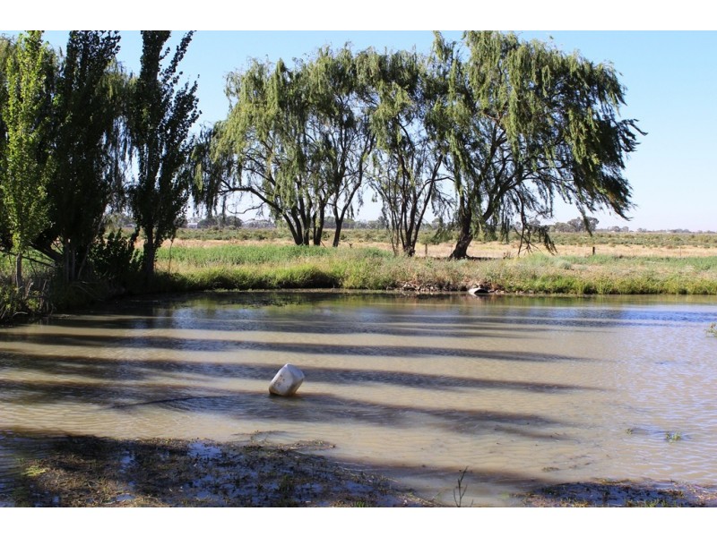 238 Tyntynder Central Road, Swan Hill VIC 3585