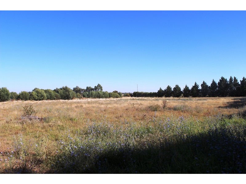 238 Tyntynder Central Road, Swan Hill VIC 3585