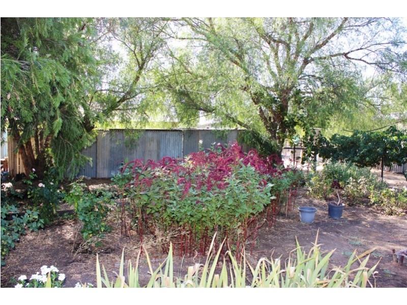 238 Tyntynder Central Road, Swan Hill VIC 3585