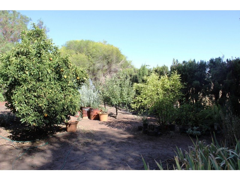 238 Tyntynder Central Road, Swan Hill VIC 3585