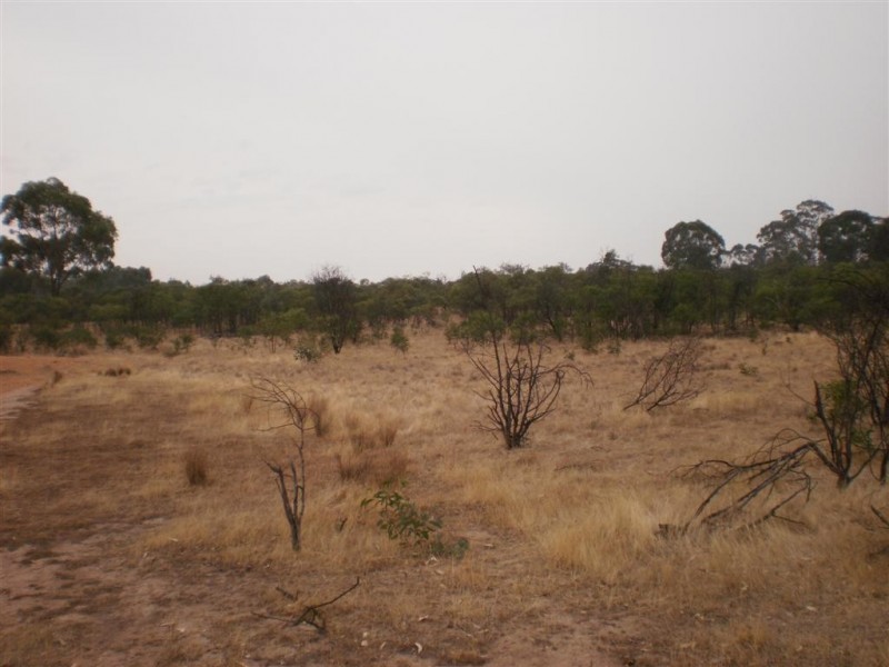 54 Kay Rd, St Arnaud VIC 3478