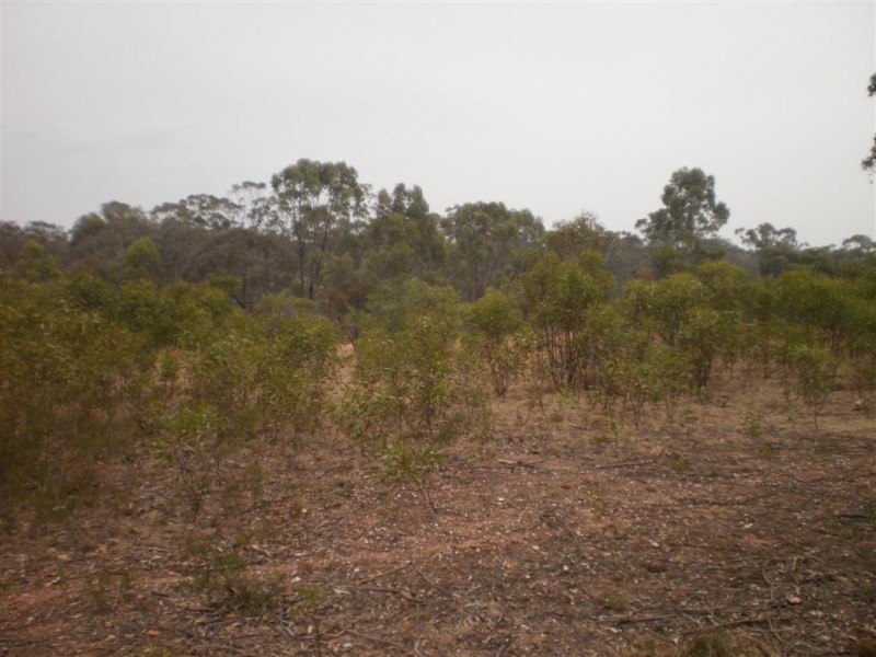 54 Kay Rd, St Arnaud VIC 3478