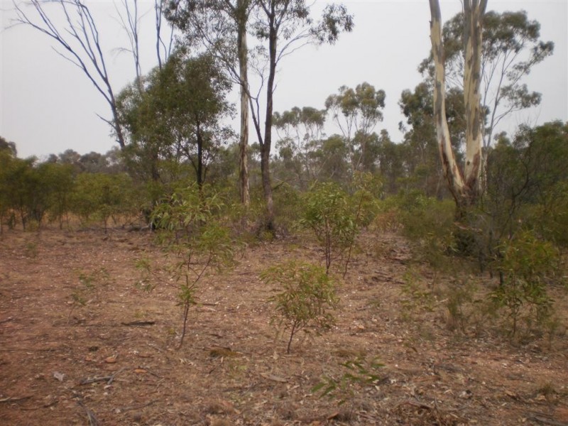 54 Kay Rd, St Arnaud VIC 3478