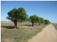 565 Nullabooma Road, Wakool NSW 2710