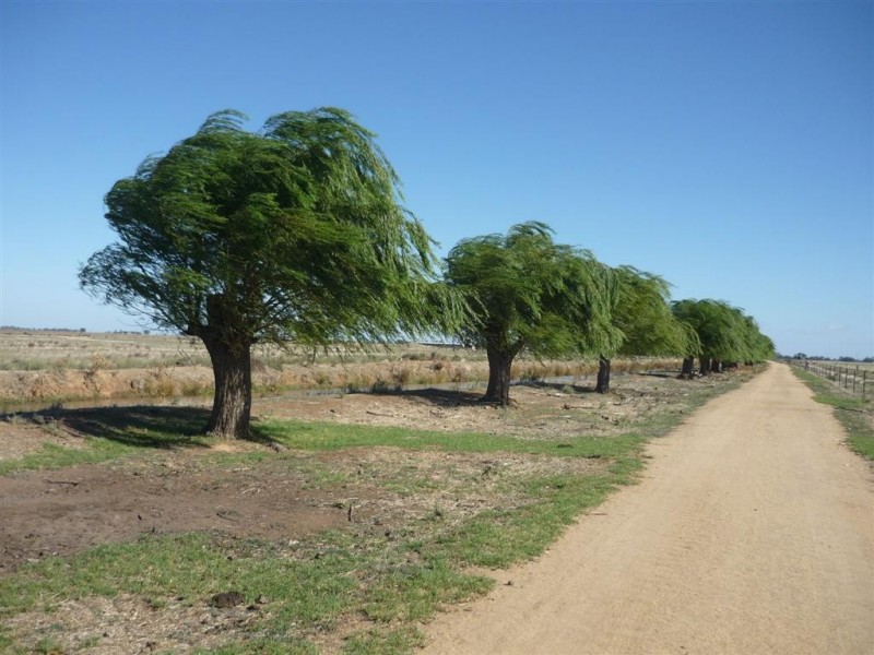 565 Nullabooma Road, Wakool NSW 2710