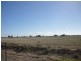 565 Nullabooma Road, Wakool NSW 2710