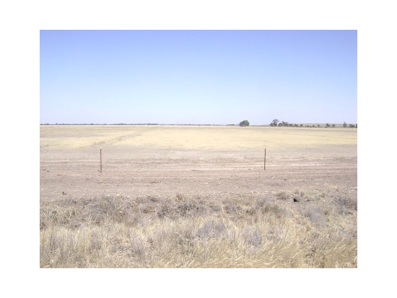 Reedy Lake VIC 3579