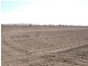 Reedy Lake VIC 3579